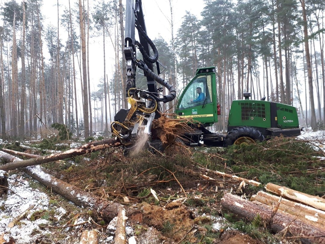 Zakład Usług Leśnych Leszek Szarmach — zdjęcie 2