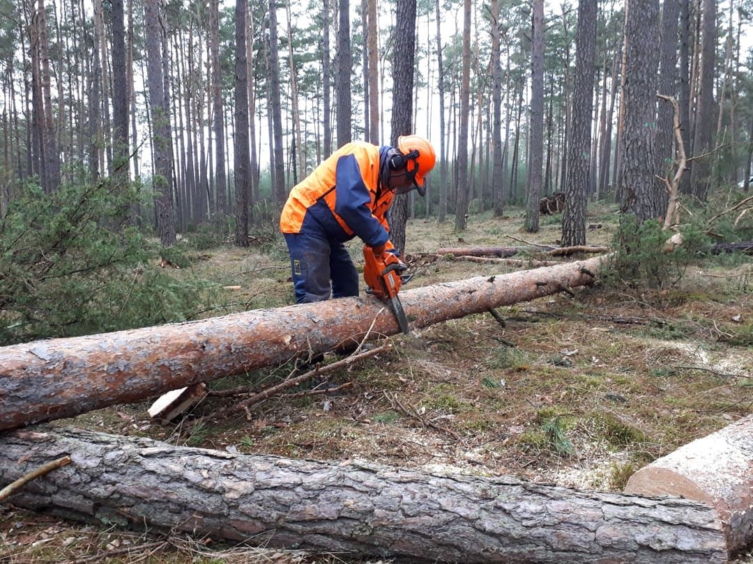 Zakład Usług Leśnych Leszek Szarmach — zdjęcie 4