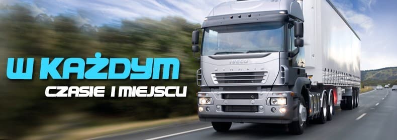 Usługi transportowe dla firm, instytucji i samorządów – TRANS-BUDOWA Sp. z o.o.